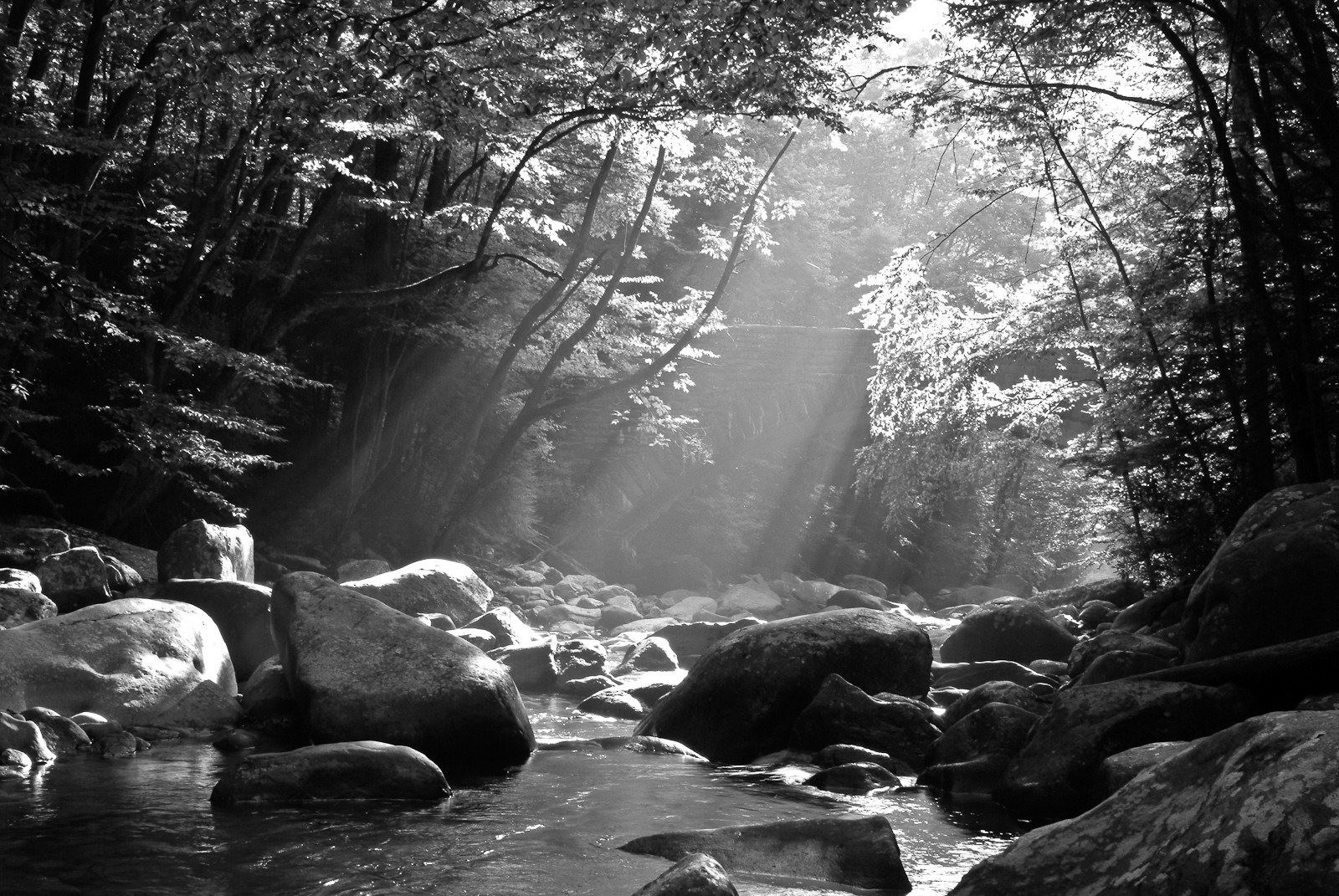 River Sunlight